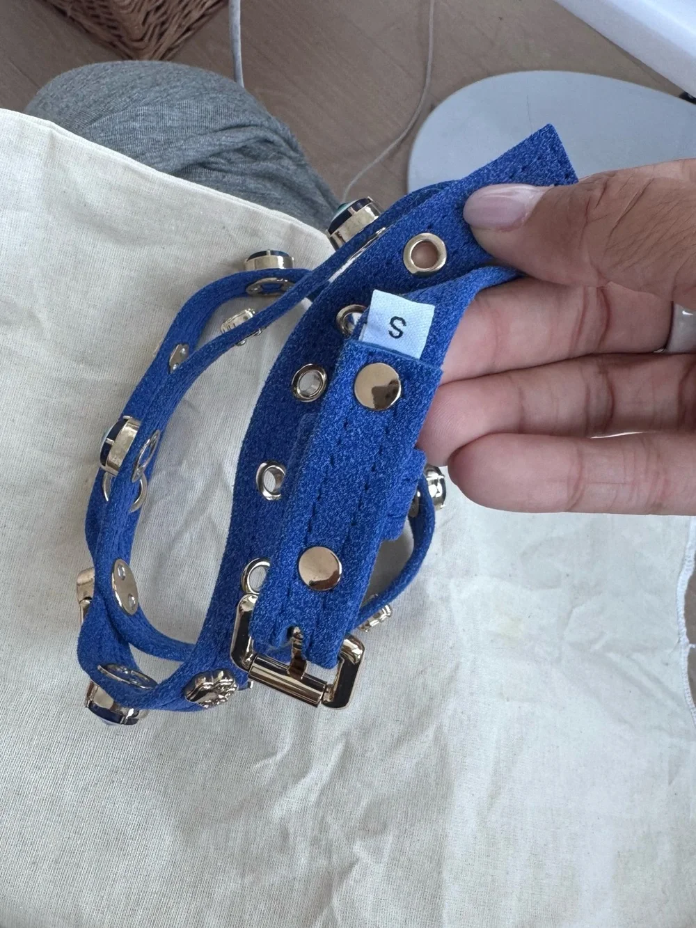 NWT Paw London dog evil eye harness